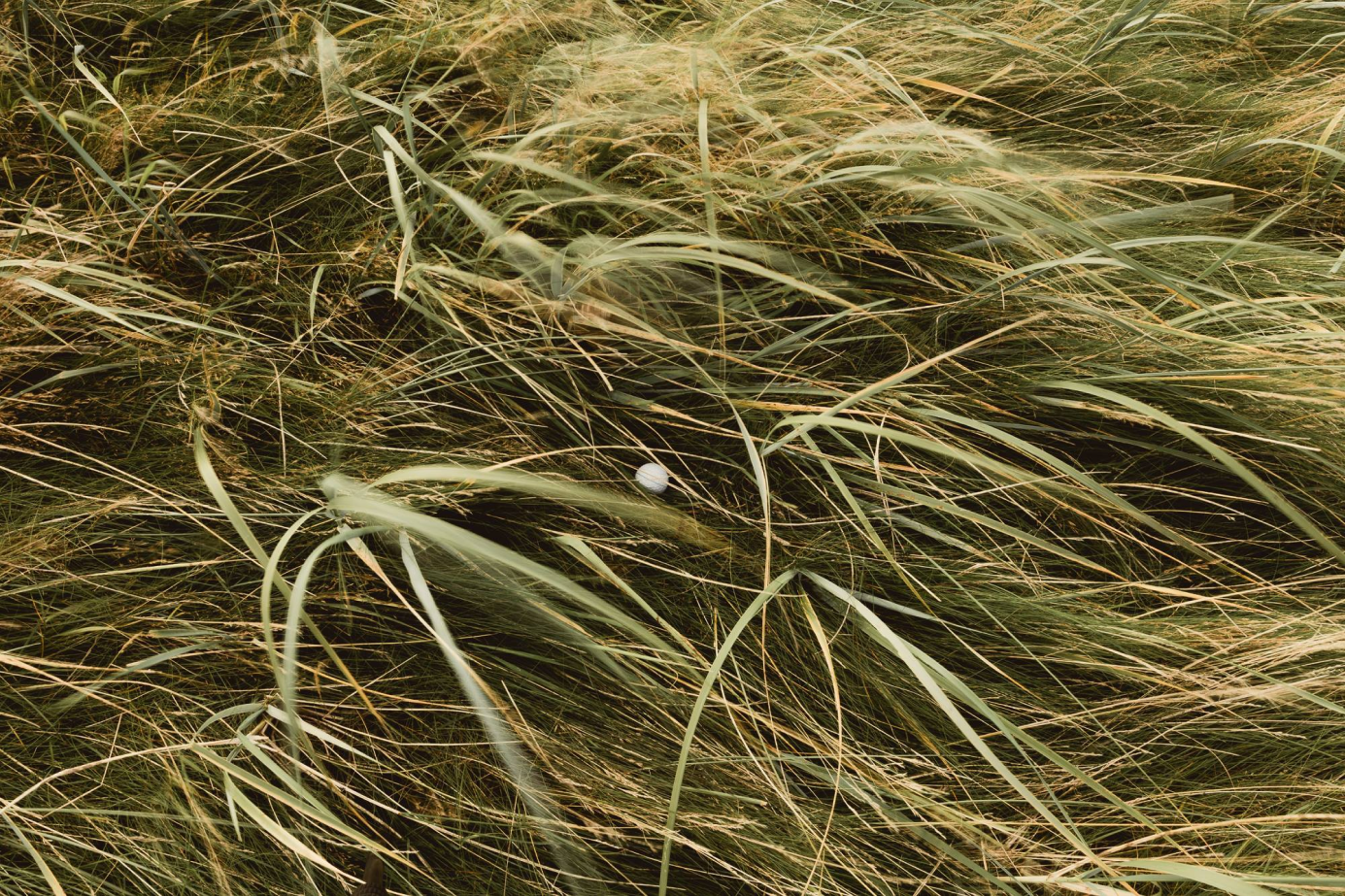 The Golfer's Journal