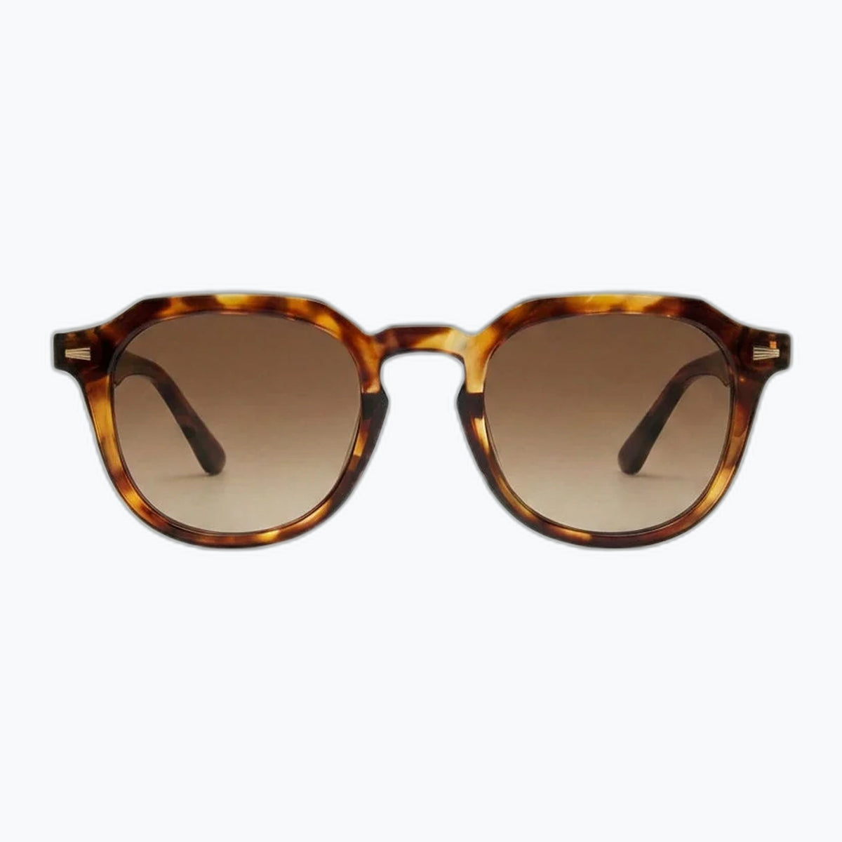 Jaxy Reverie in Tortoise — Cat-eye Polarized sunglasses