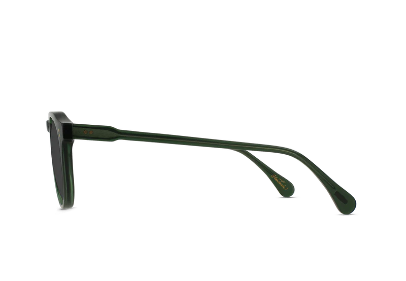 Remmy Polarized