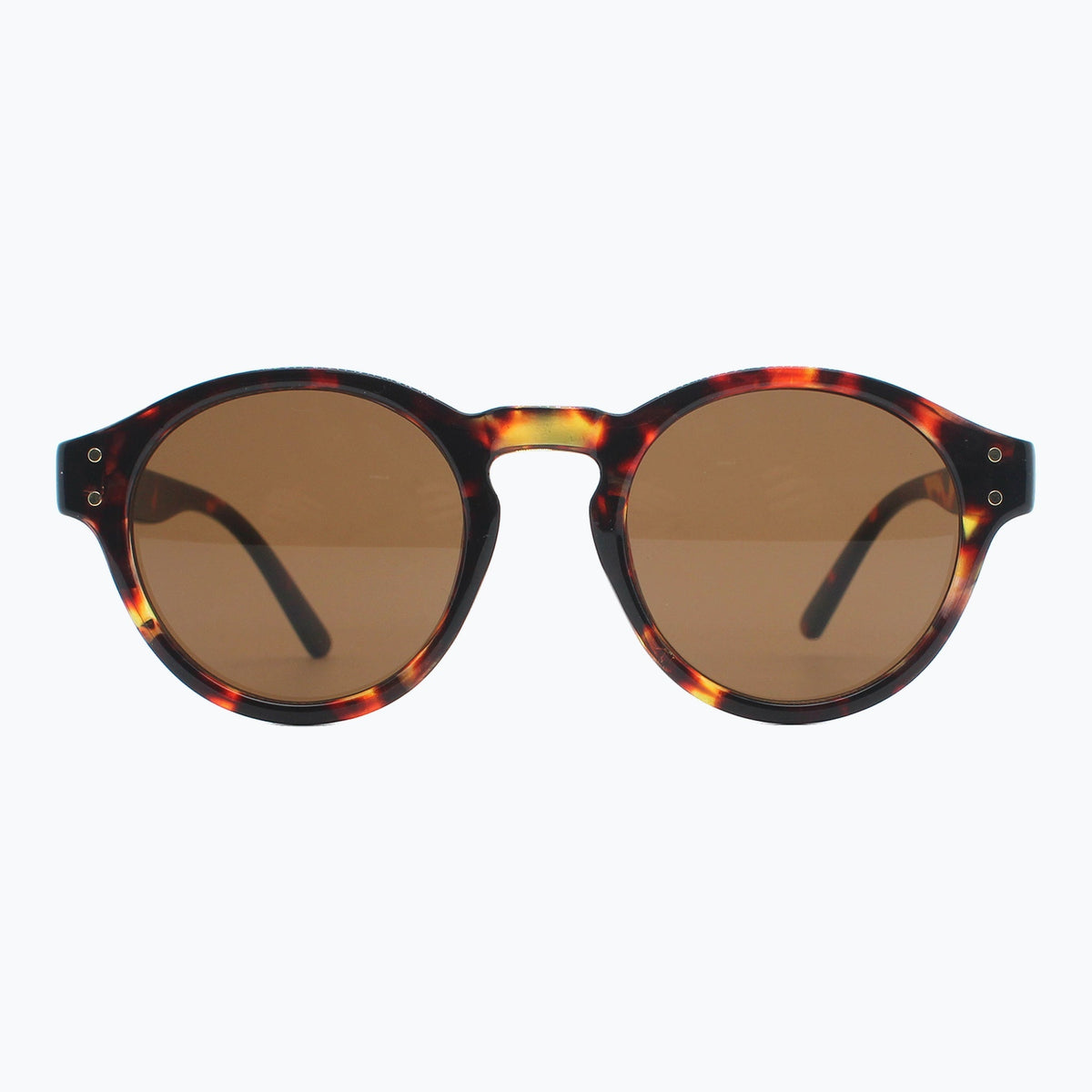 Jaxy Sunset Theory in Tortoise — Round sunglasses