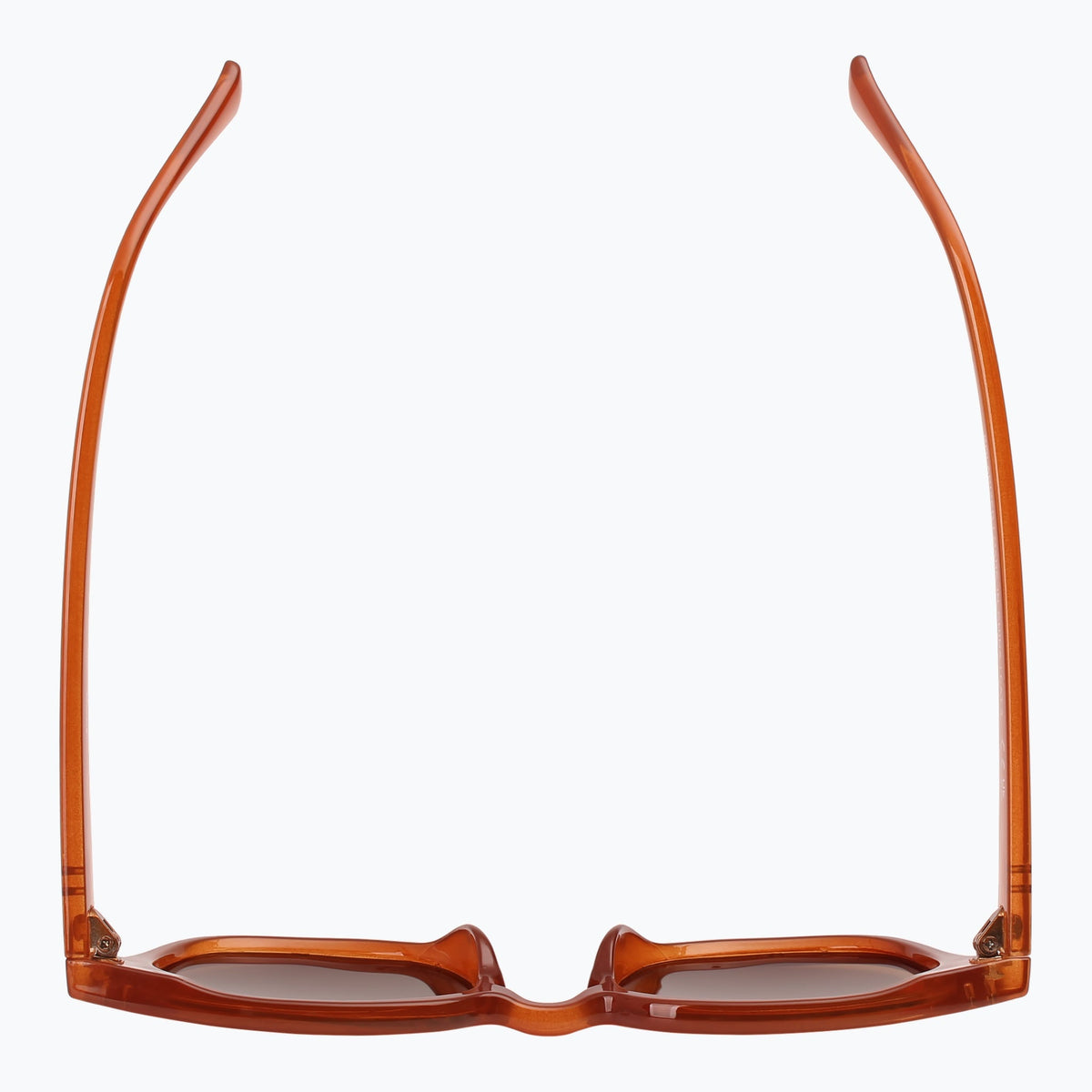 Jaxy Diner Square sunglasses — top view #Color_Rust tort