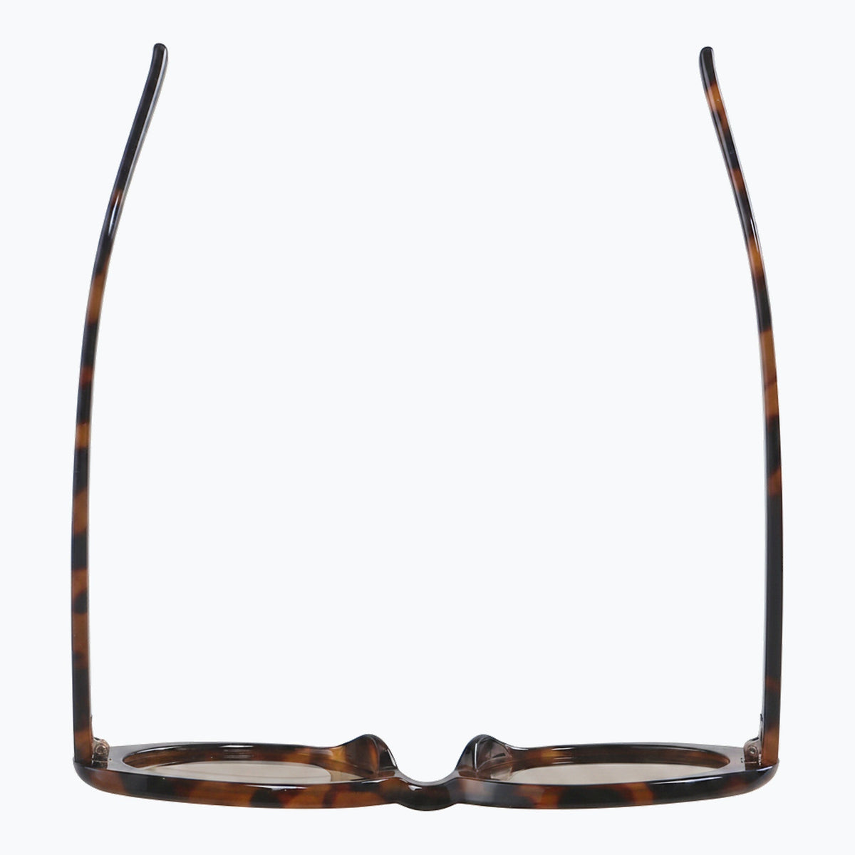 Jaxy Scarlet Oval sunglasses — top view