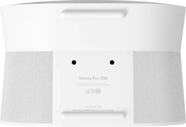 Era 300
