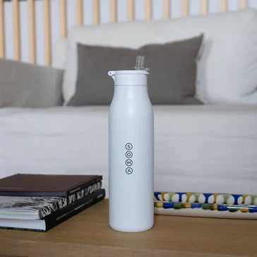 Stainless Steel 24 oz Insulated Bottle