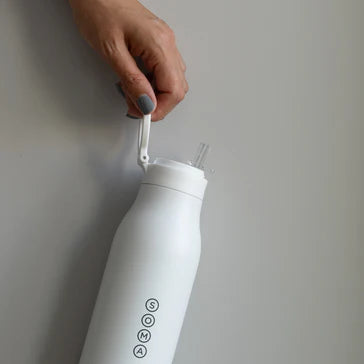 Stainless Steel 24 oz Insulated Bottle