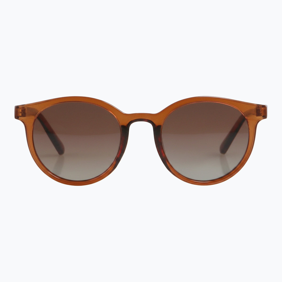 Jaxy Havana Haze in Brown — Square Polarized sunglasses