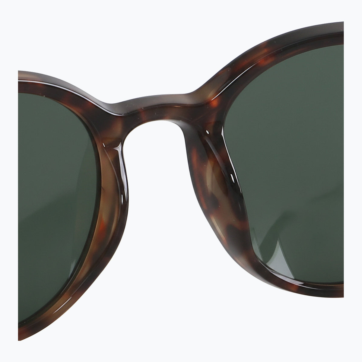 Jaxy Havana Haze Round sunglasses — inside view #Color_Tortoise