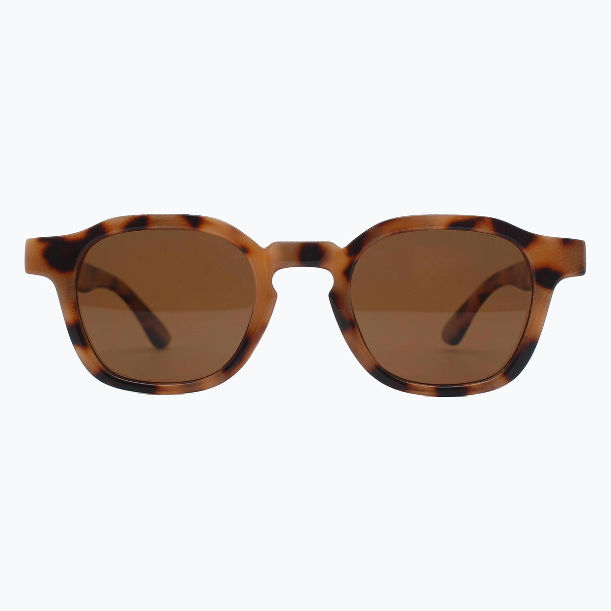 Jaxy Windsor in Tortoise — Aviator Polarized sunglasses #Color_Tortoise