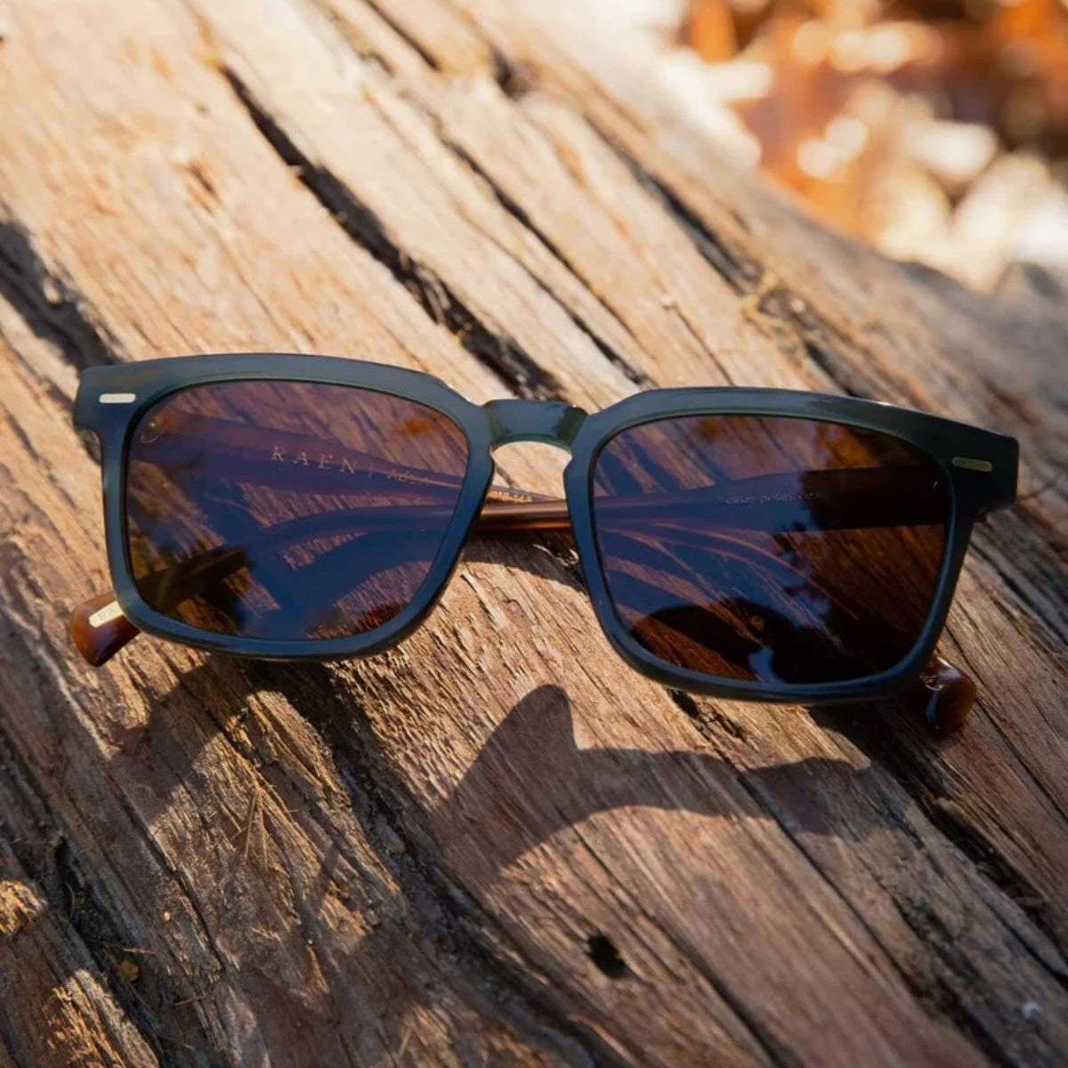 Adin - Polarized