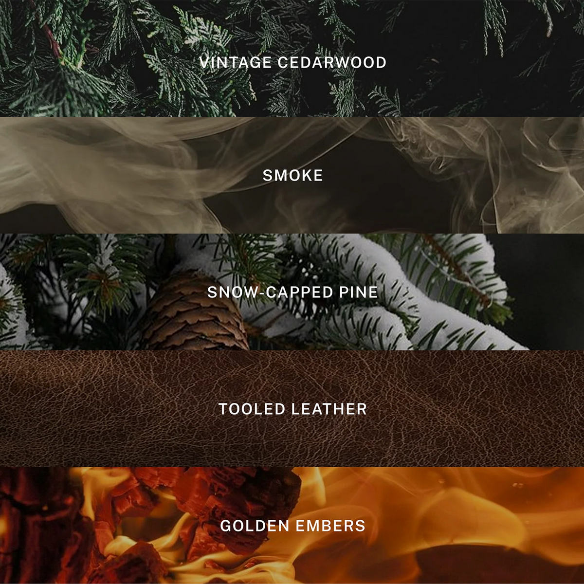 Aspen Candle