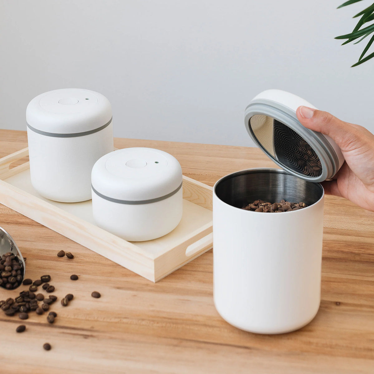 Manual Atmos Vacuum Canister