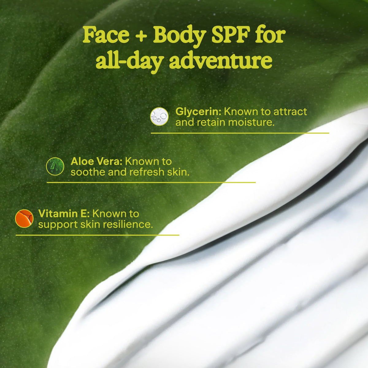 Face and body SPf for all day adventure, containing Glycerin, Aloe Vera and Vitamin E