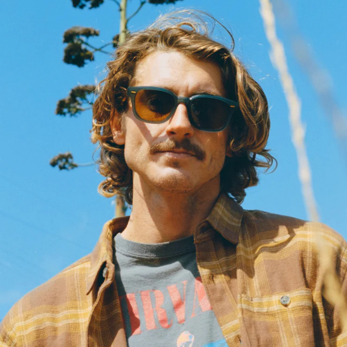 Carby - Polarized