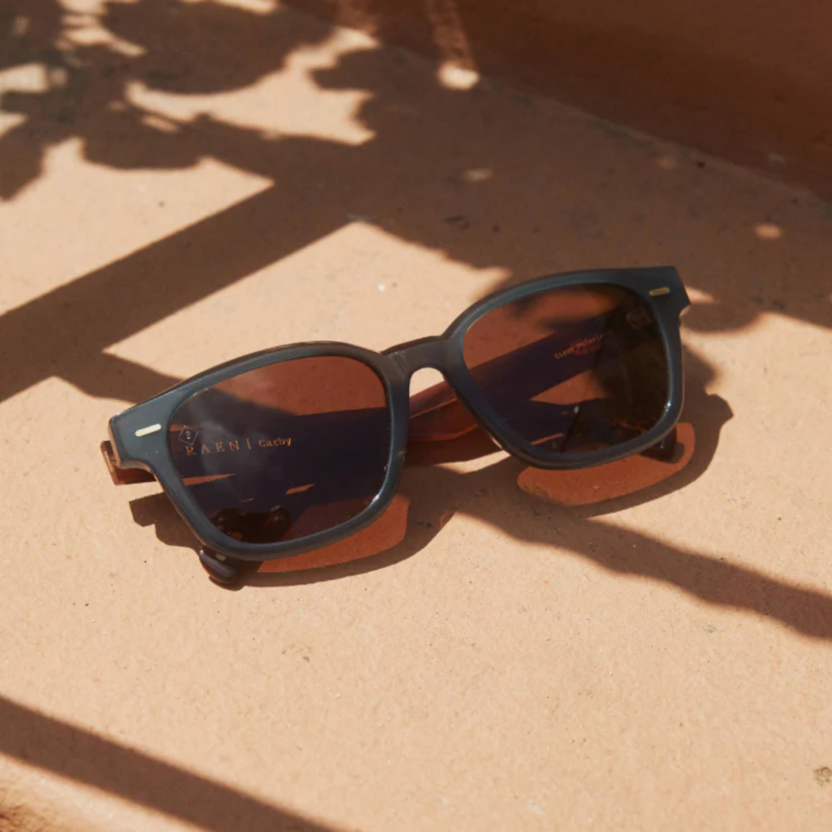 Carby - Polarized