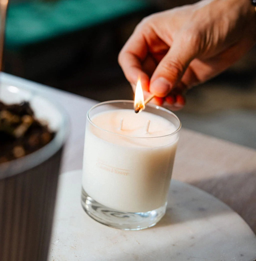 Cactus Flower Candle - Elsewhere Collection