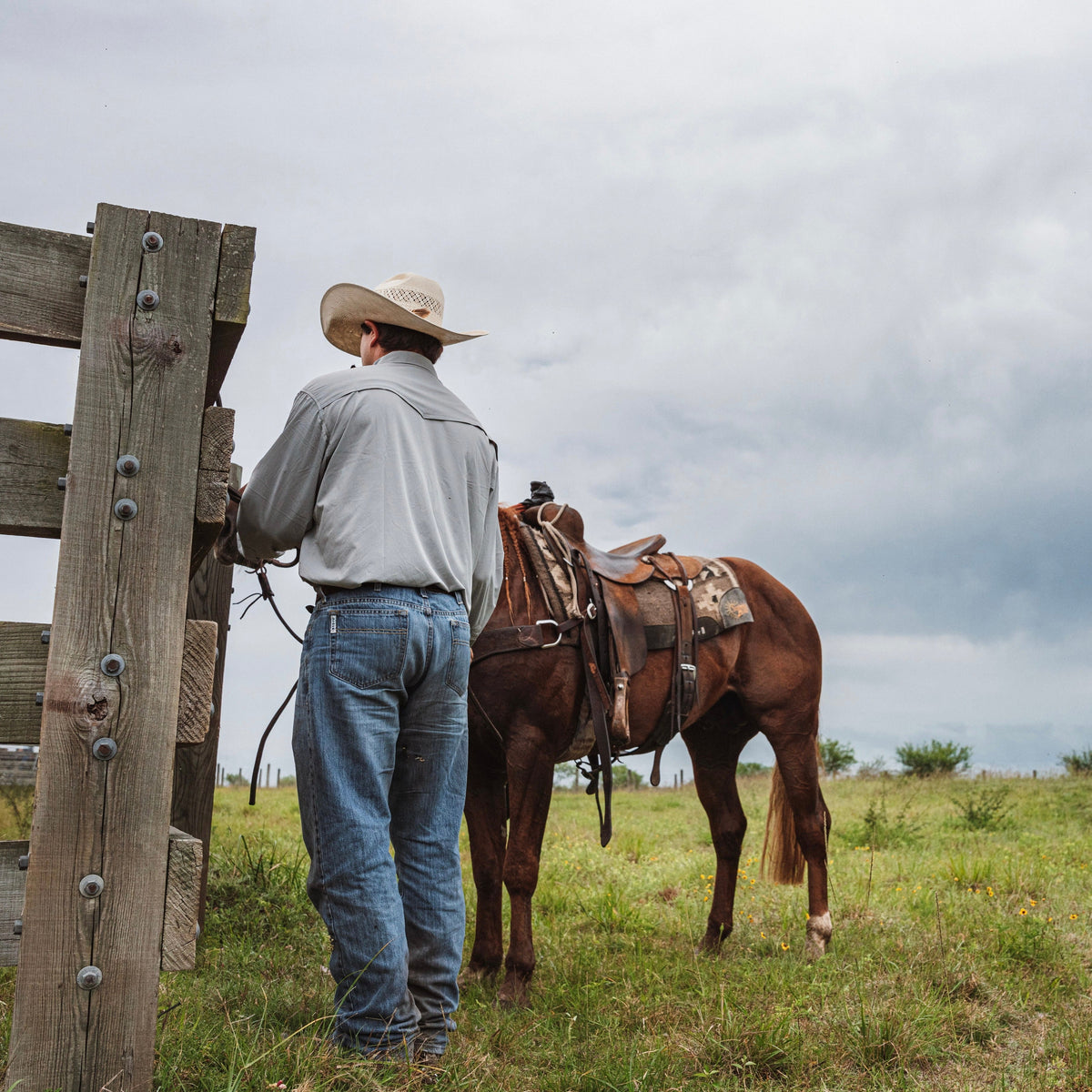 Man ties horse up while wearing grey button down western shirt