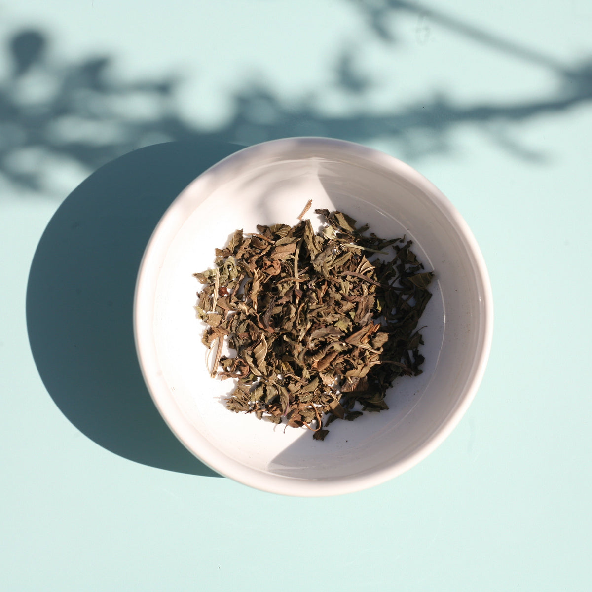 MINT TEA, PEPPERMINT, ORGANIC LOOSE LEAF IMAGE CLOSE UP