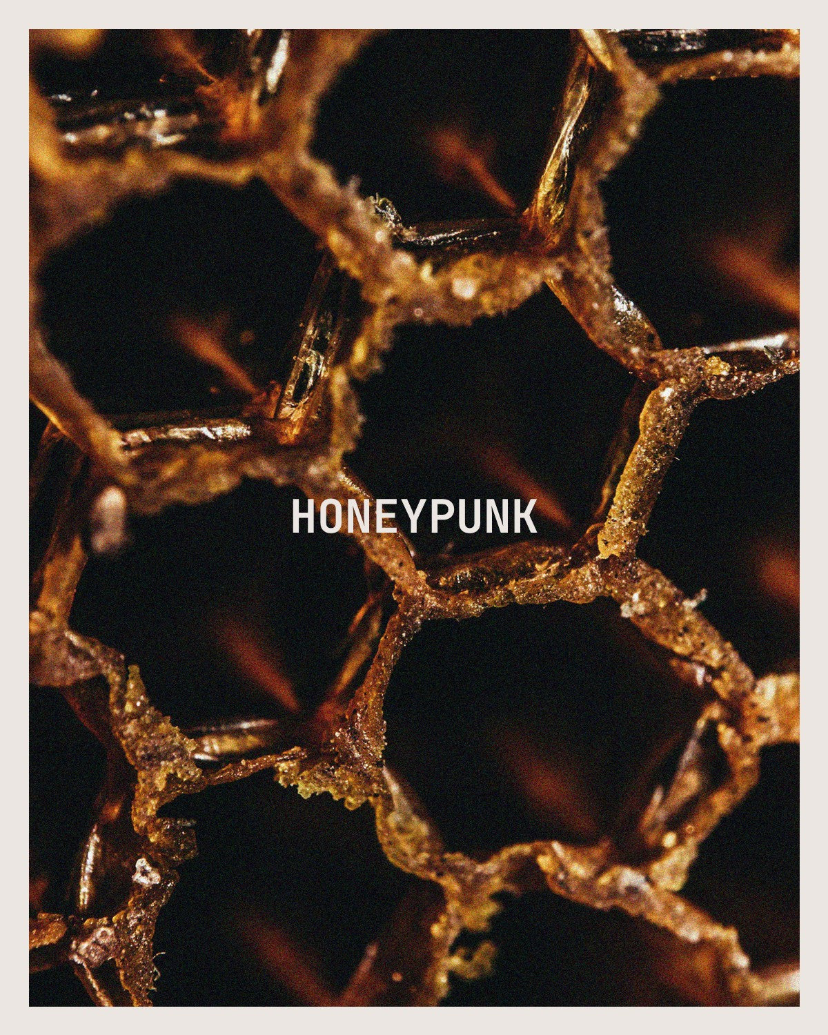 HONEYPUNK
