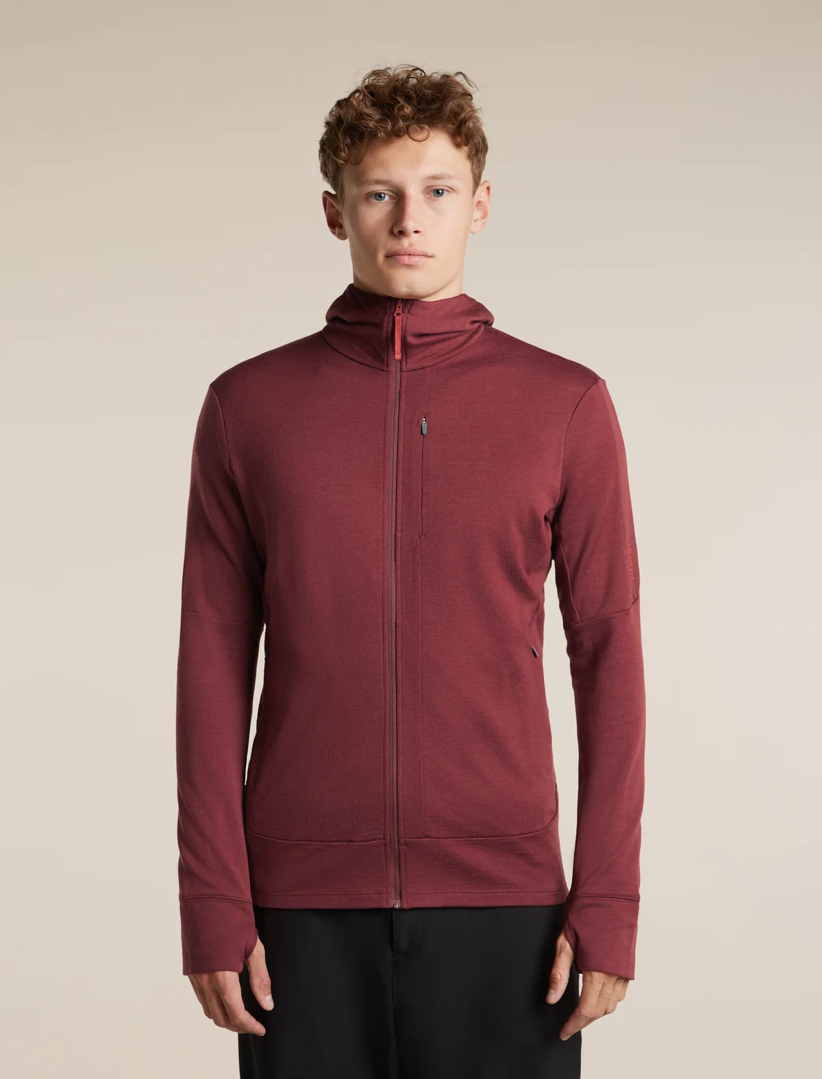 Men's Merino 260 Quantum LS Zip Hoodie