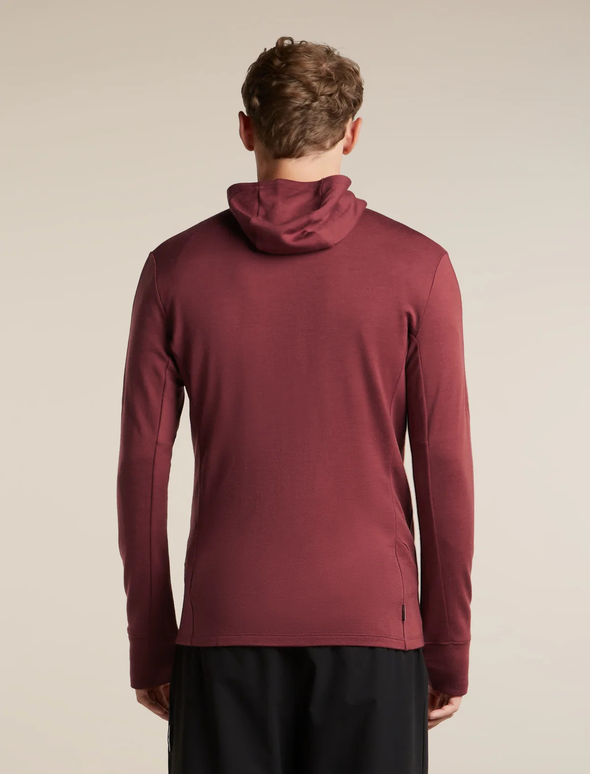 Men's Merino 260 Quantum LS Zip Hoodie