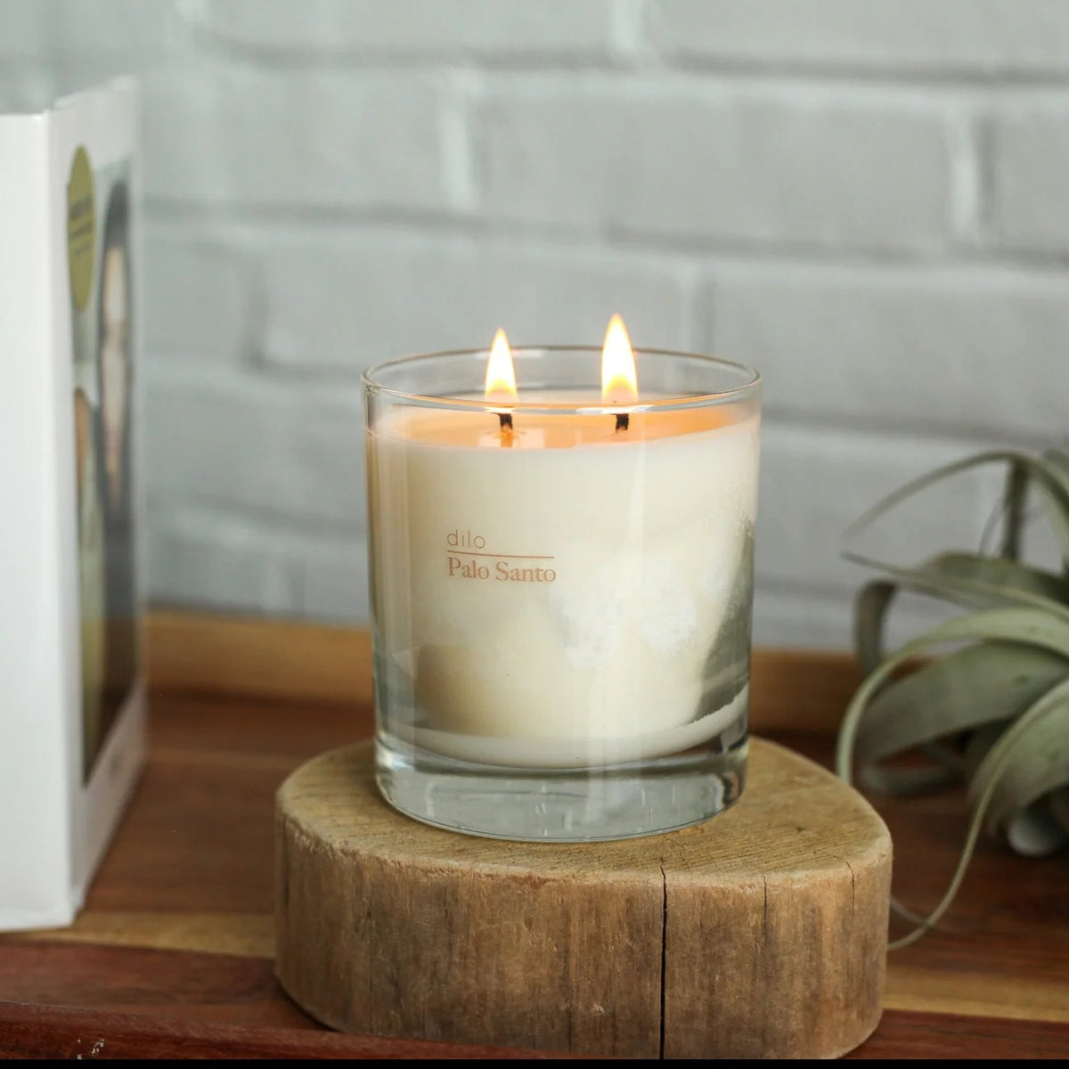 Palo Santo Candle - Elsewhere Collection