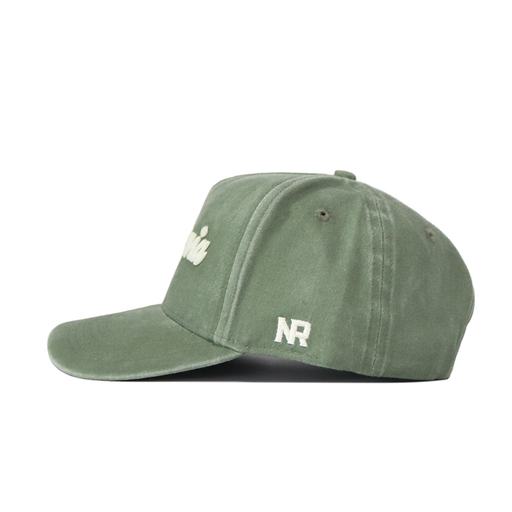 Side view of the California Home Turf Hat: green snapback with white "NR" embroidery on the side and partially visible front details. Features a curved brim, structured fit, and visible stitching.