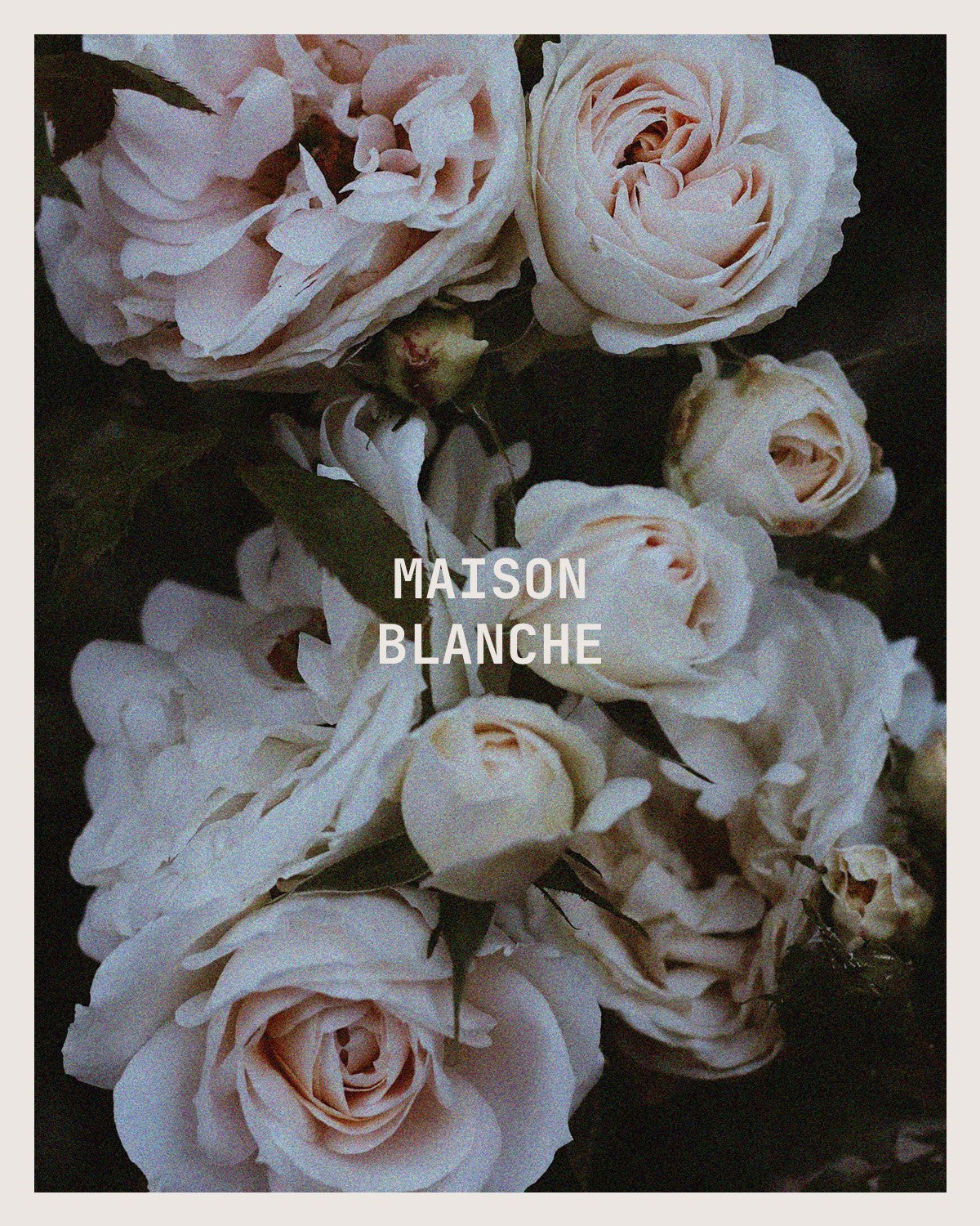 MAISON BLANCHE