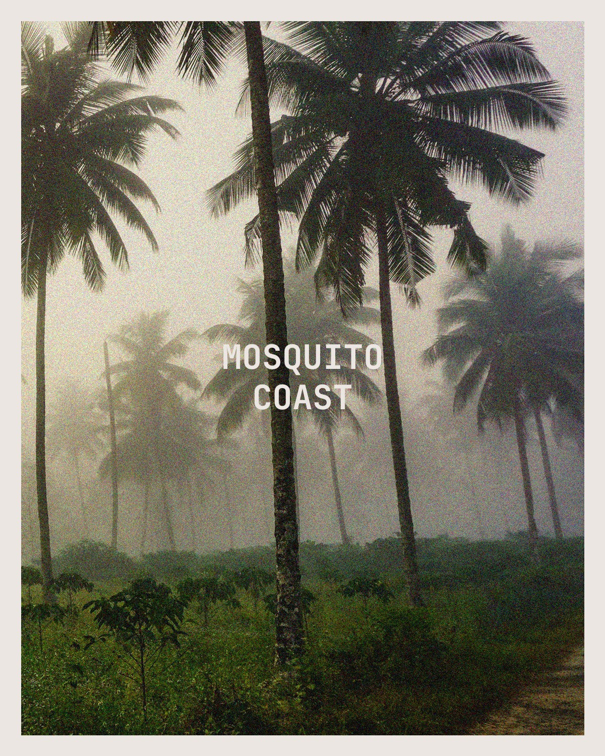 MOSQUITO COAST