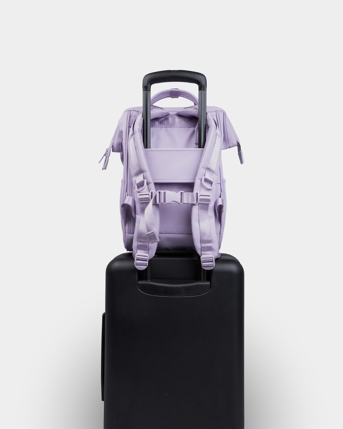 #color_lavender
