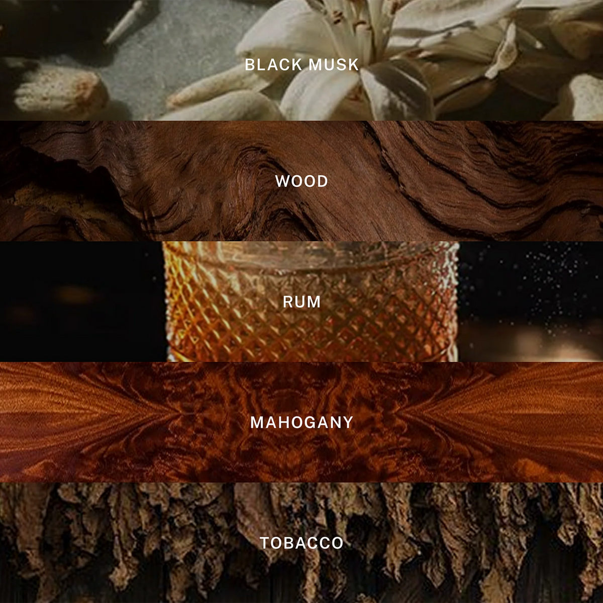 Paris Nuit Reed Diffuser