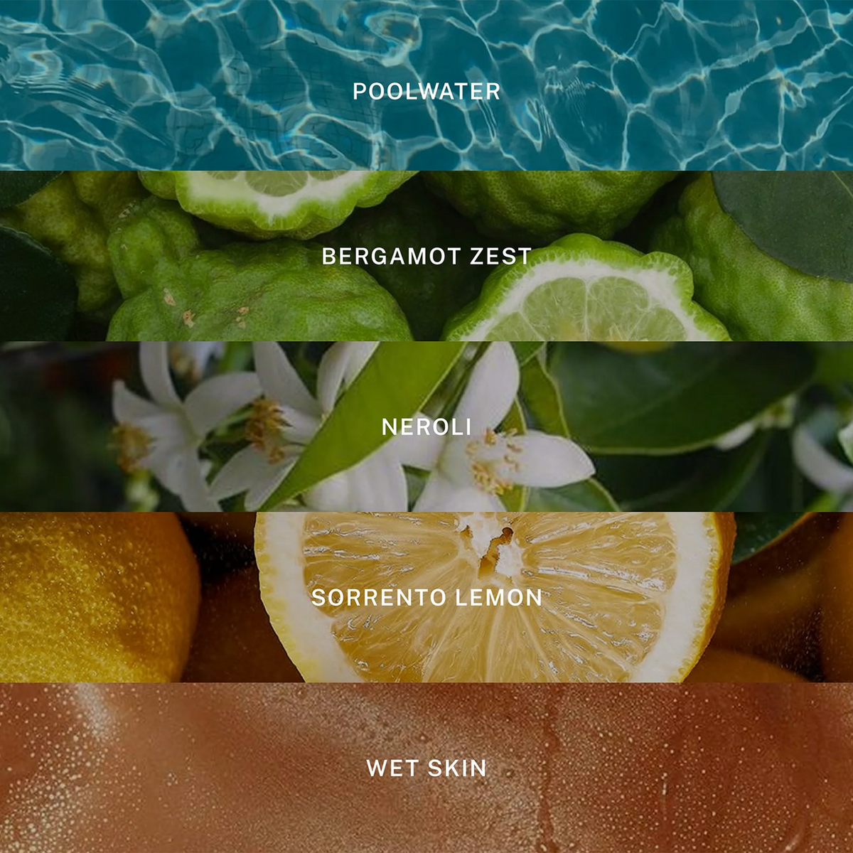 Poolside Reed Diffuser