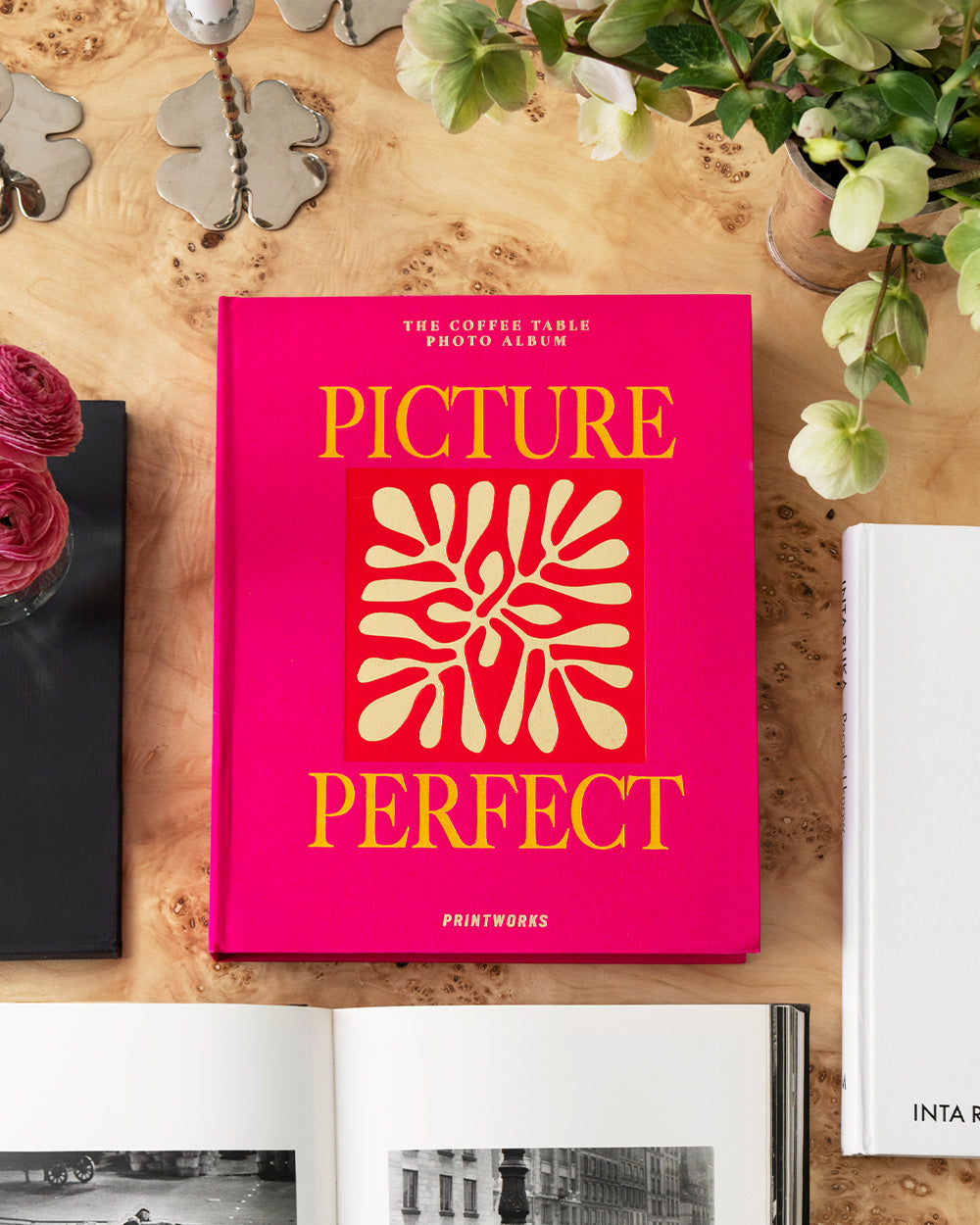 Picture Perfect, Cerise