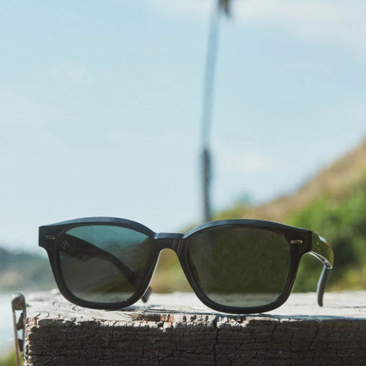 Carby - Polarized