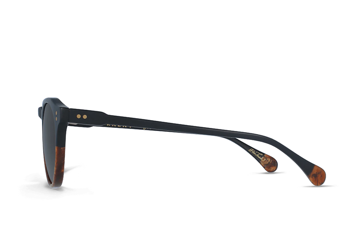 Remmy Polarized