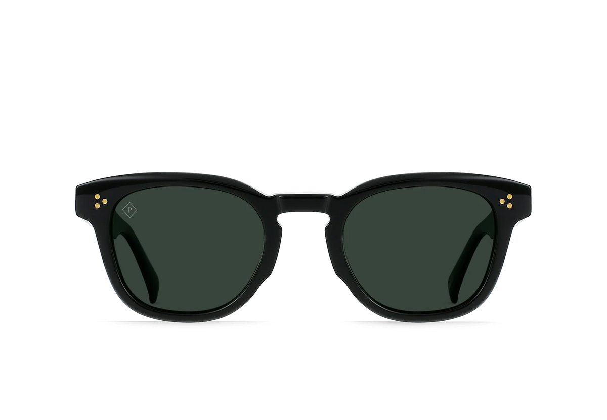 Squire Polarized
