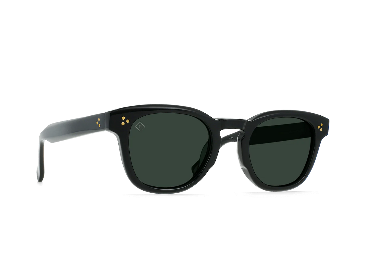 Squire Polarized