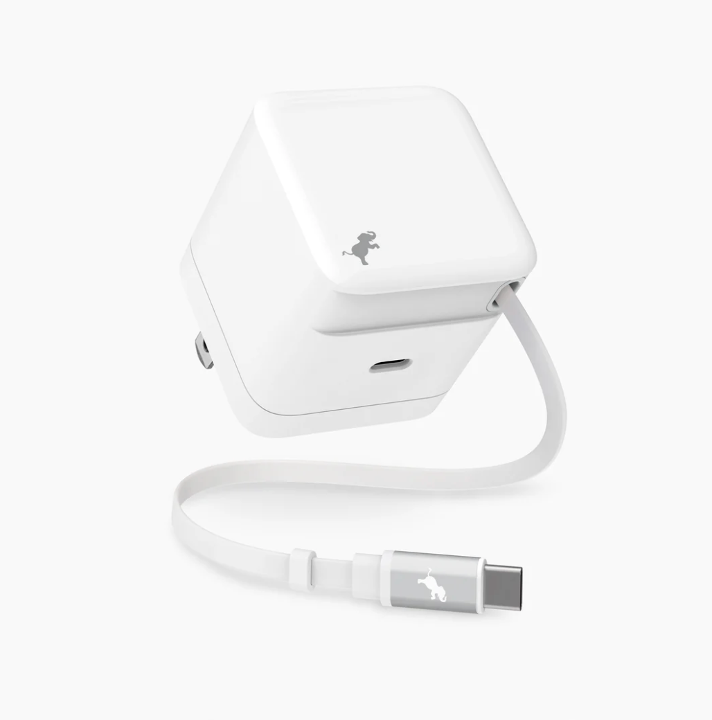 WALLY Stretch 65W Wall Charger - NEW
