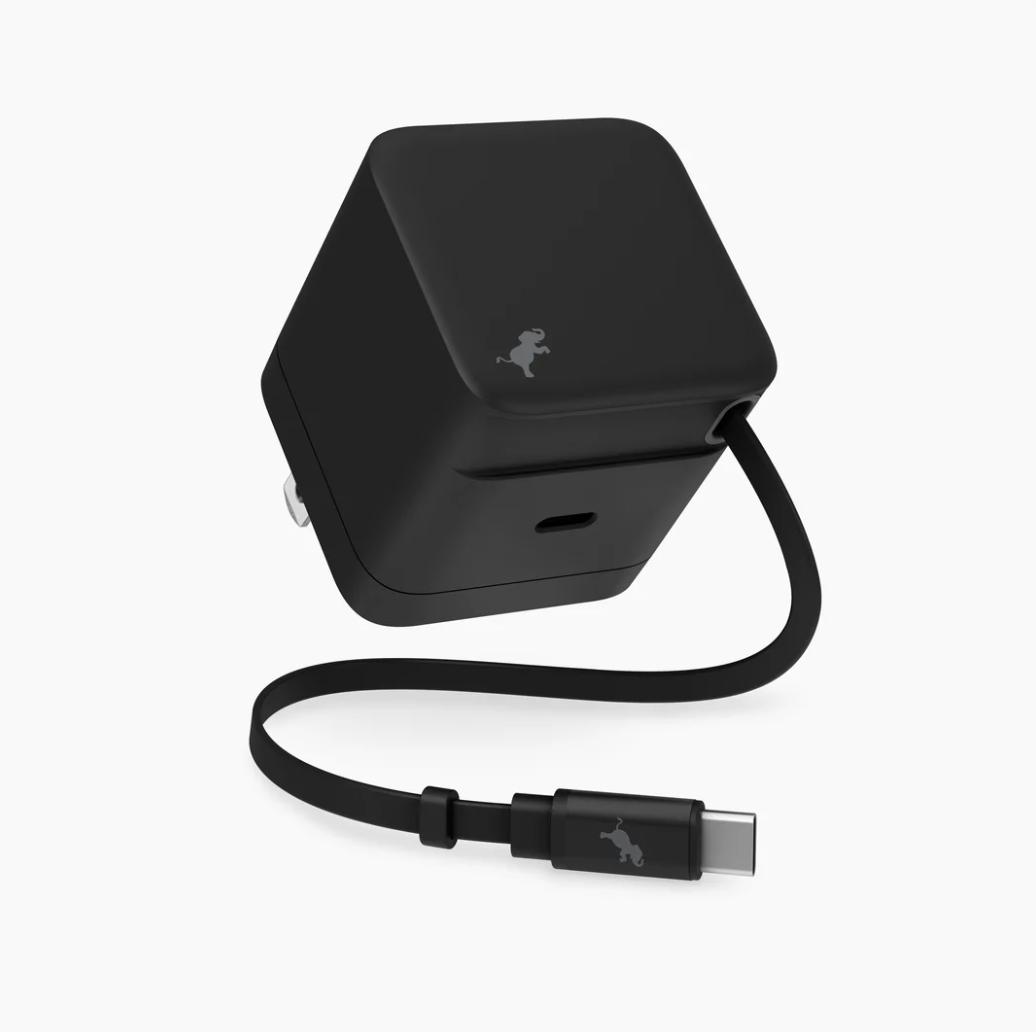 WALLY Stretch 65W Wall Charger - NEW