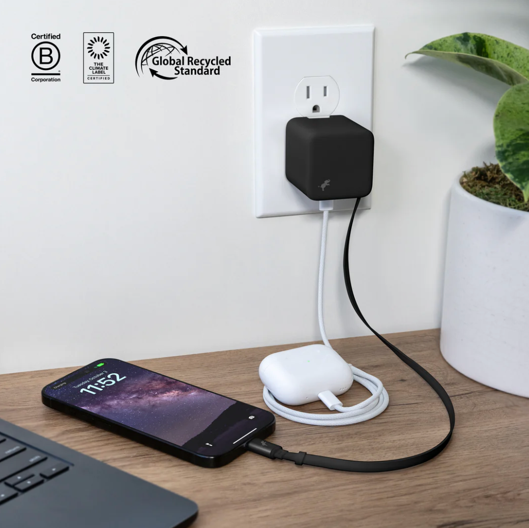 WALLY Stretch 65W Wall Charger - NEW