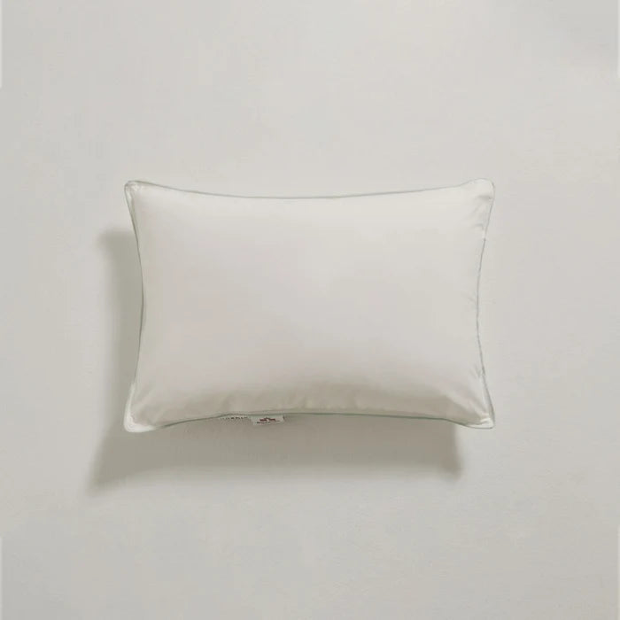 Travel Pillow