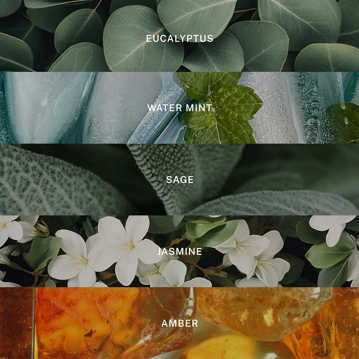 Spa Reed Diffuser