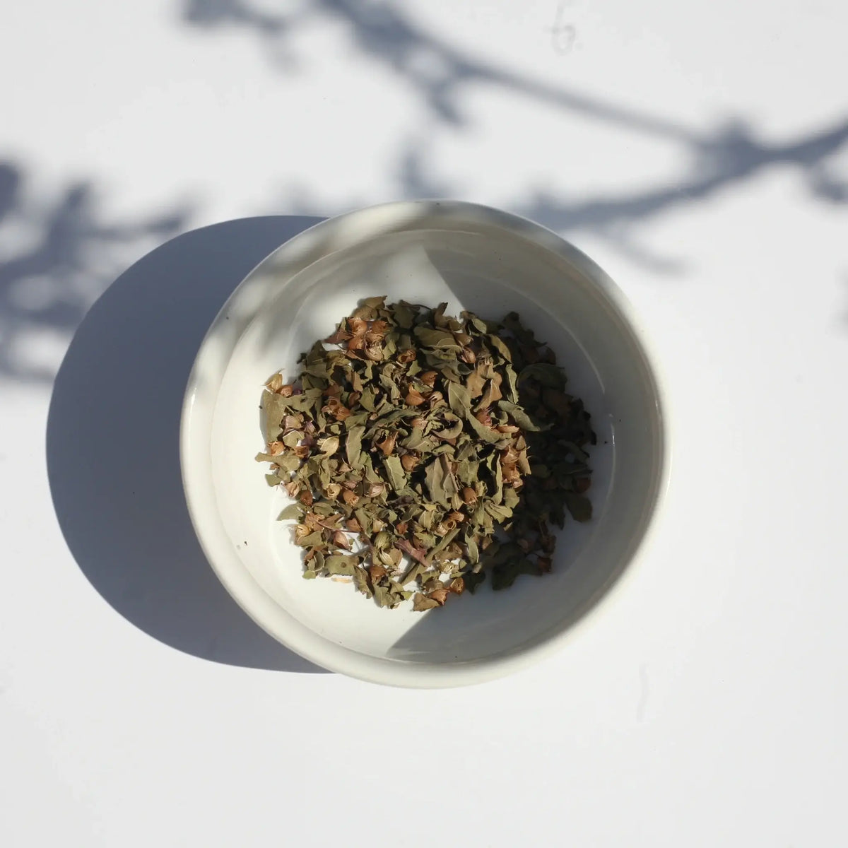 TULSI (INDIAN BASIL)