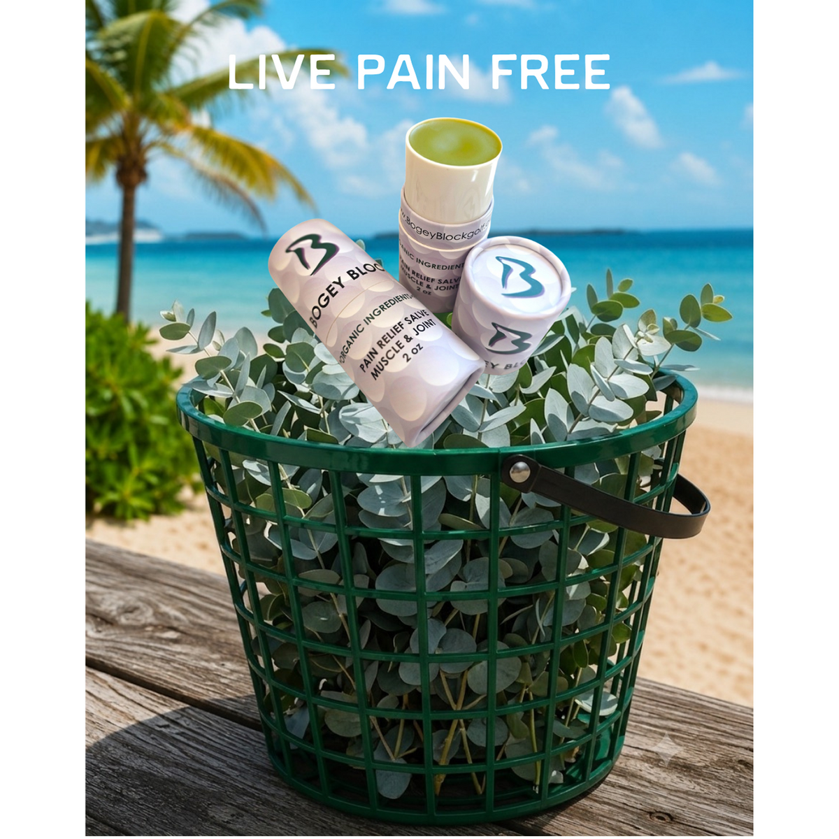 Pain Relief Roll-On