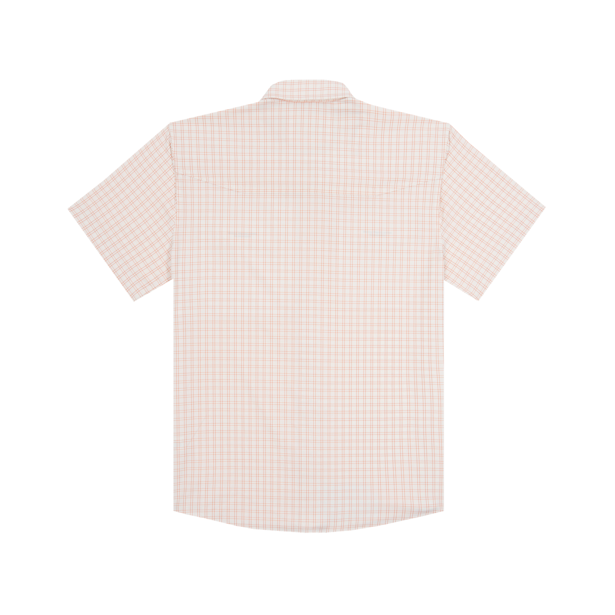 Product photo The Gumbo back