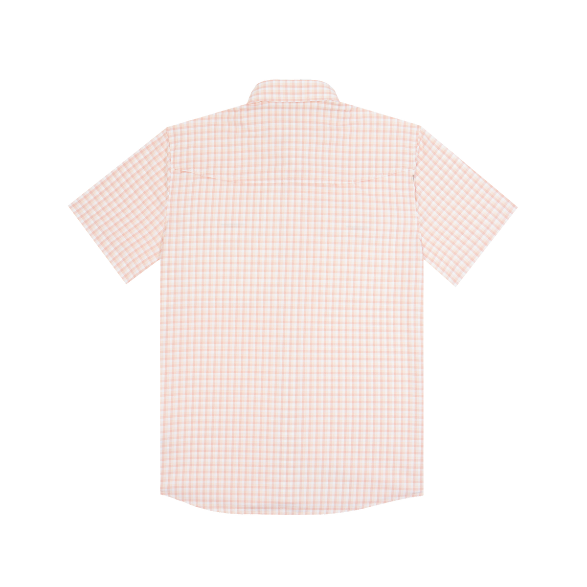 back of the mudbug shirt