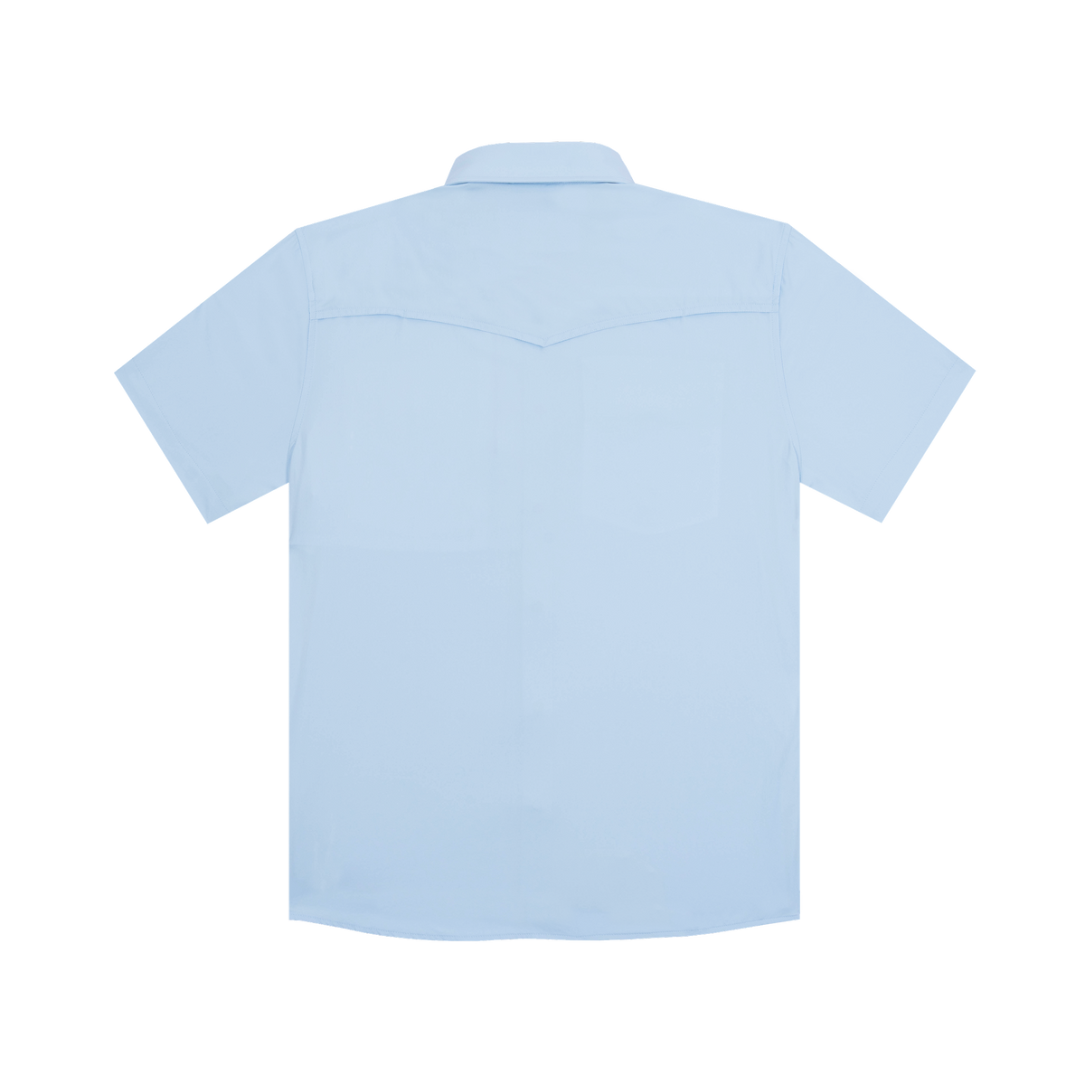product photo back of the pedernales shirt