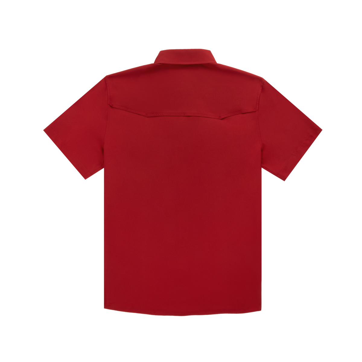 product photo the tuscaloosa back