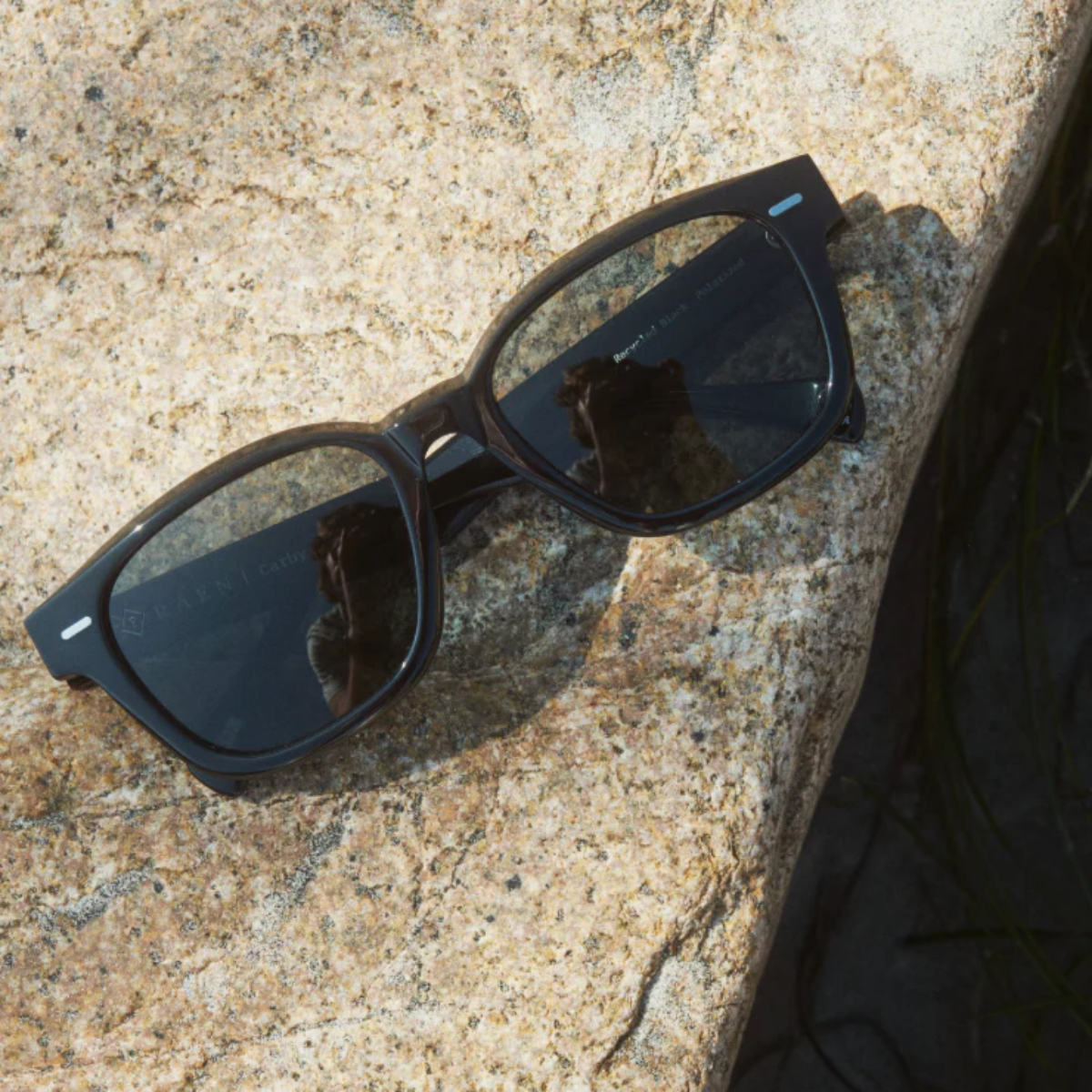 Carby - Polarized