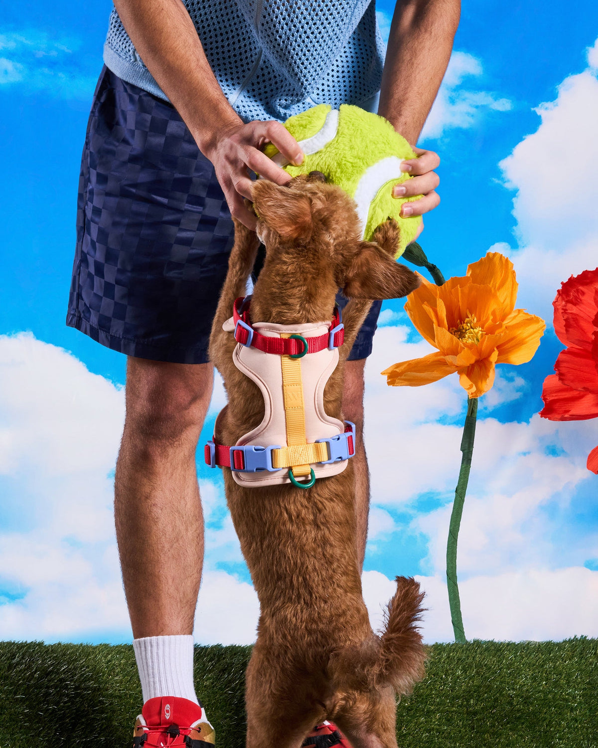 Tennis Ball