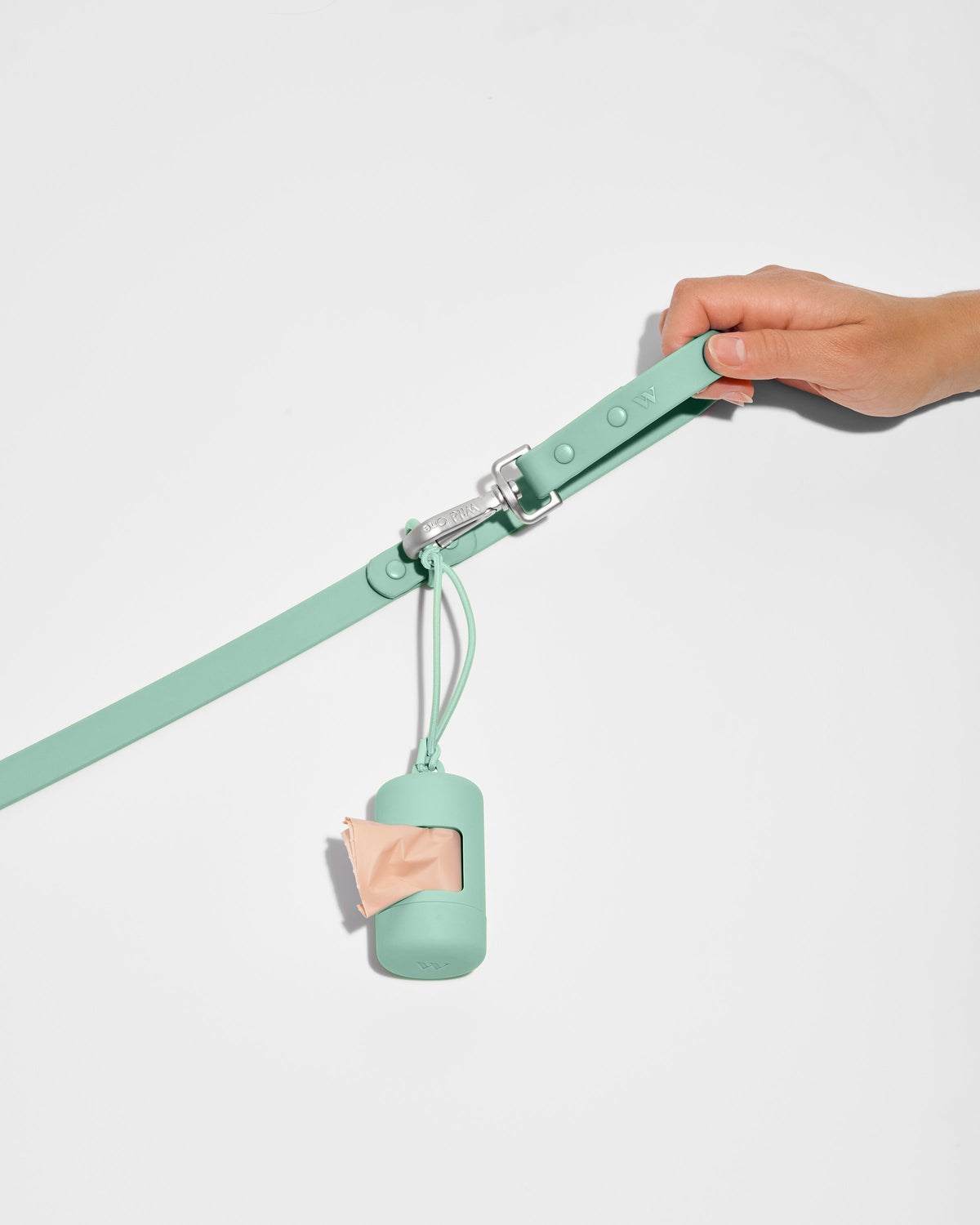 Seafoam